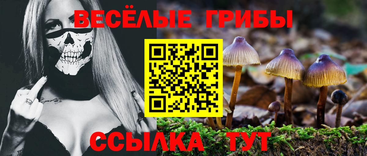 Галлюциногенные грибы MAGIC MUSHROOMS Березники